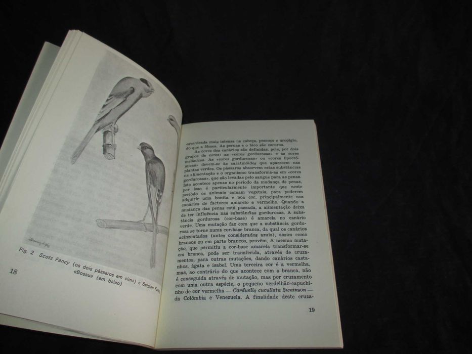 Livro abc da Criação de Canários Curt Af Enehjelm