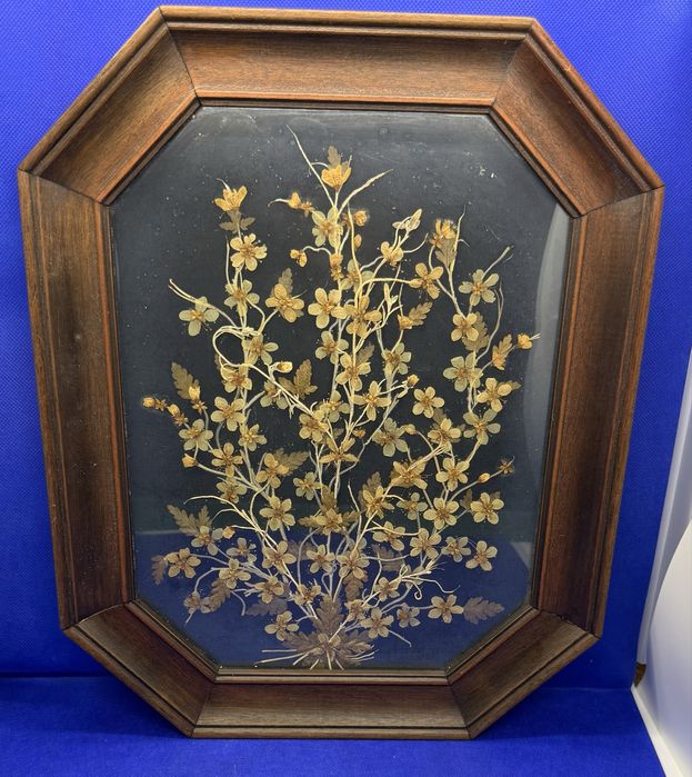 Quadro Vintage de Flores Secas Prensadas em Moldura de Madeira