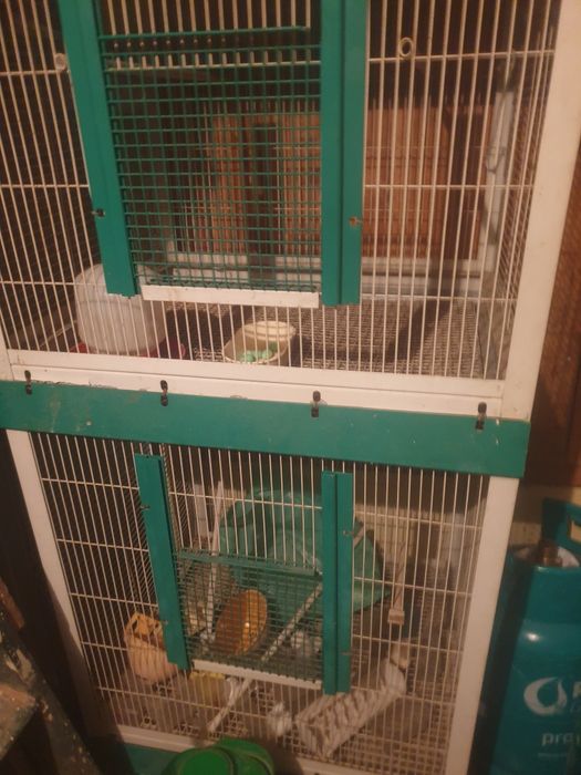 Gaiola de passaros vendo