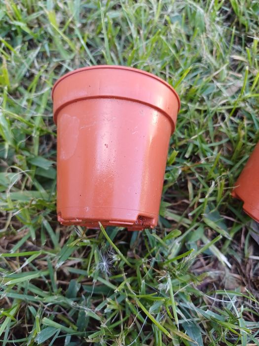 Vasos 5 cm de diâmetro