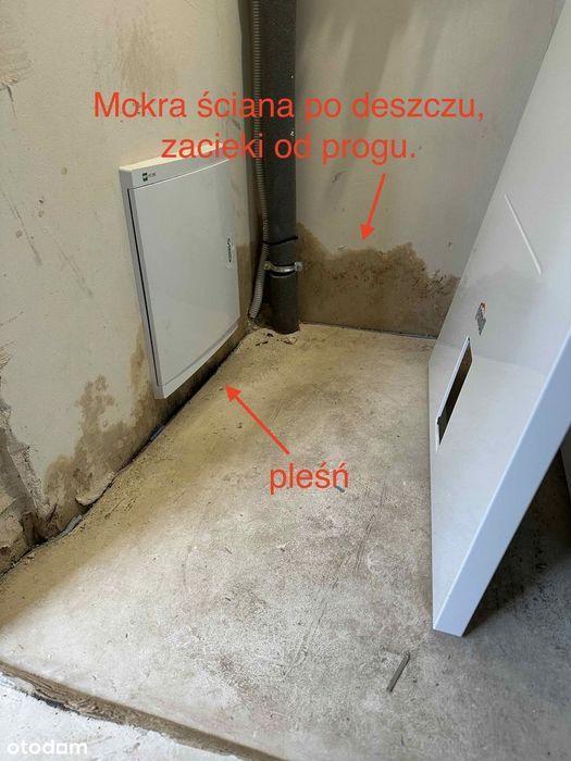 Dom – Warszawa - Widok 2