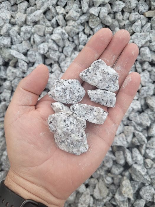 Kamień ozdobny granit Dalmatyńczyk 16-22 / 8-16 Kamień ogrodowy Grys granitowy Dalmatino