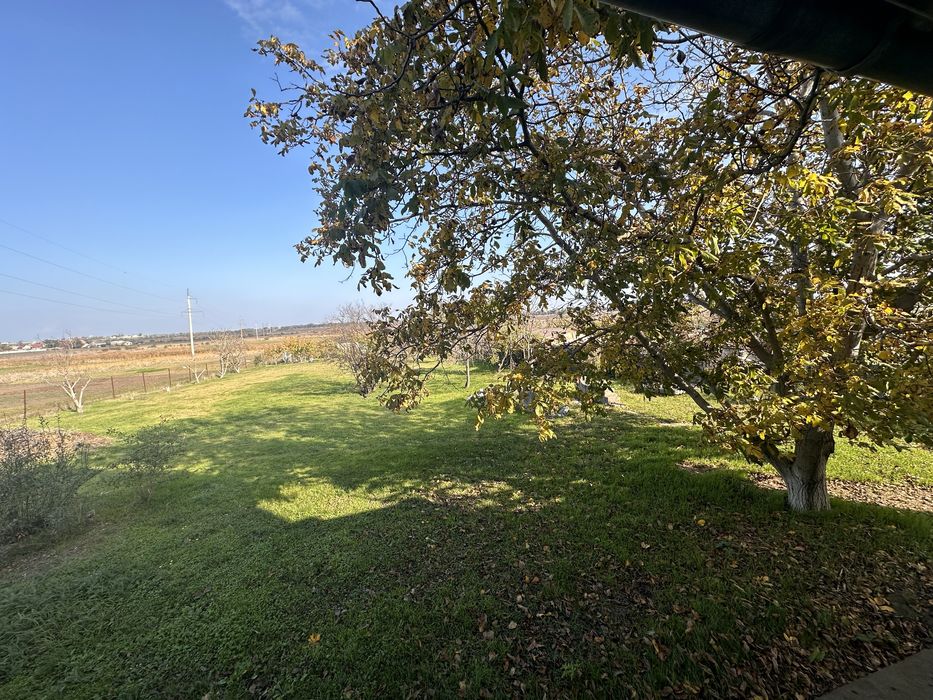 Продам частный дом Грибовка 25 соток земли Дом из Кирпича