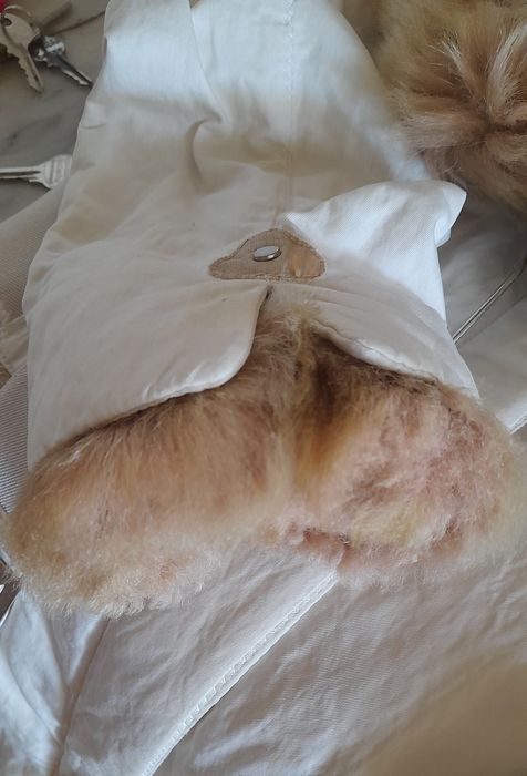 Mango Suit Jacket, Size M + Effe Luggage Offer – Good Condition64738277152642124