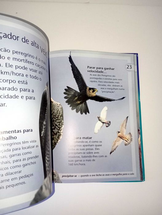 Enciclopédia temática educativa - Aves