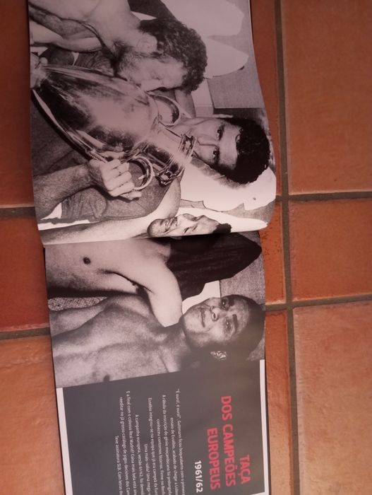 Benfica no topo da Europa - João Malheiro