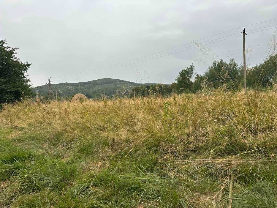 Продаж земельної ділянки, с. Космач, Богородчанська ТГ