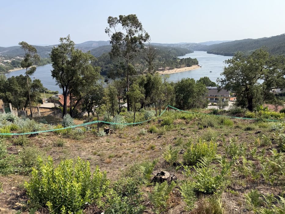 Terrenos melres s.tiago vistas rio