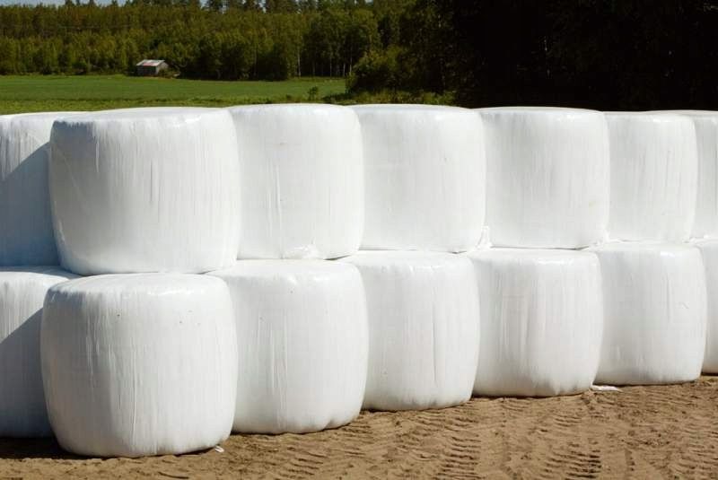 Sianokiszonka 2025r siano