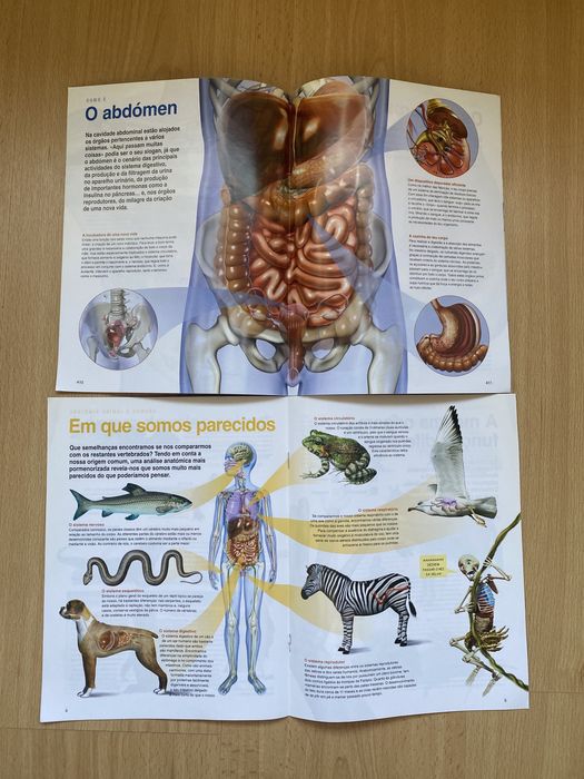 O corpo humano - national geographic