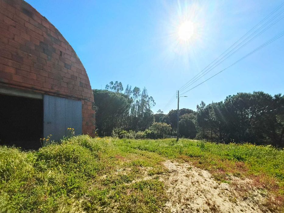 Terreno com Armazém Canha