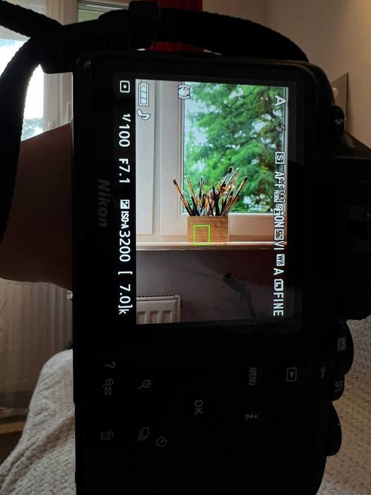 Aparat Nikon D3500