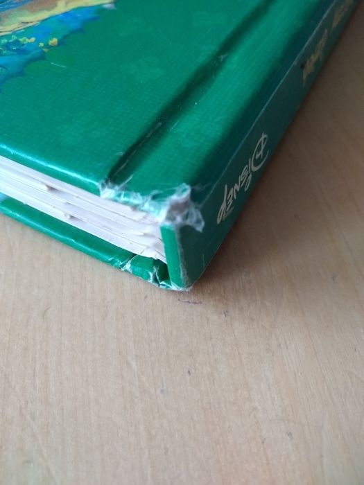 Bardzo Wietrzny Dzień. Magiczne Okienka - Kubuś Puchatek Disney