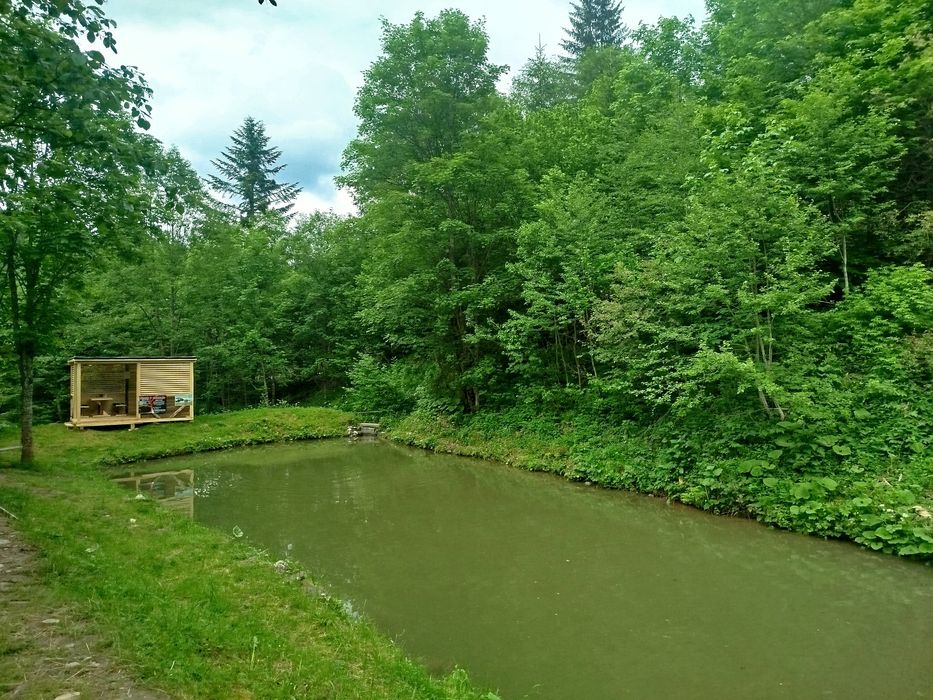 Ловля Форелі с.Микуличин, рибалка