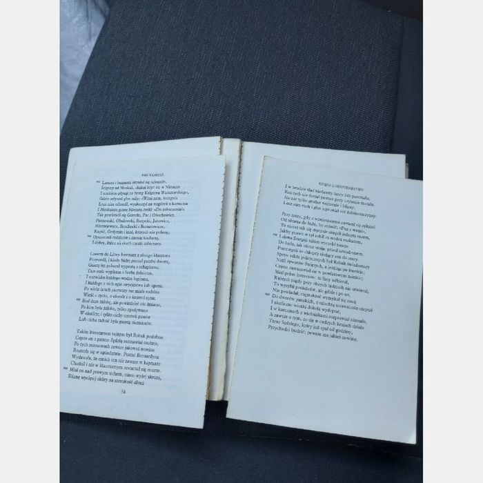 Pan Tadeusz. Adam Mickiewicz 1979rw.