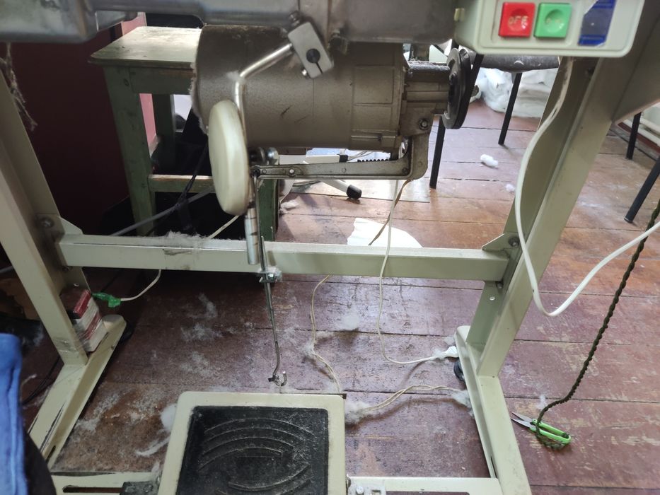 Прямострочка Siruba