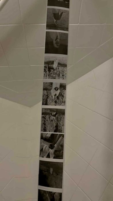 Фотоплёнка свiжа AGFA AVIPHOT PAN 80 6шт *olx доставка*