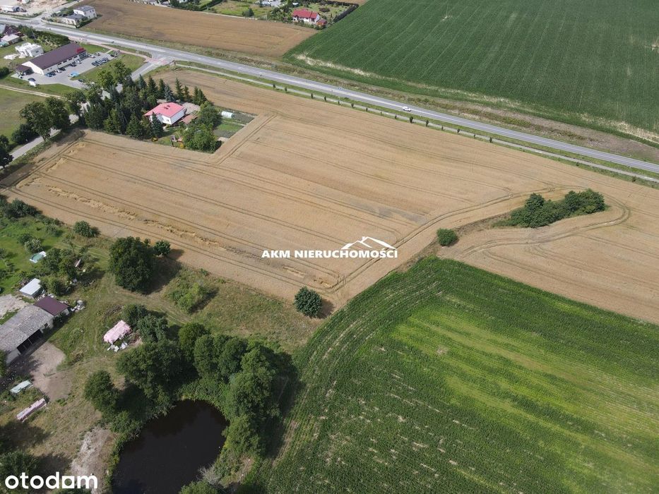 działki budowlane w Rakowcu - Widok 2
