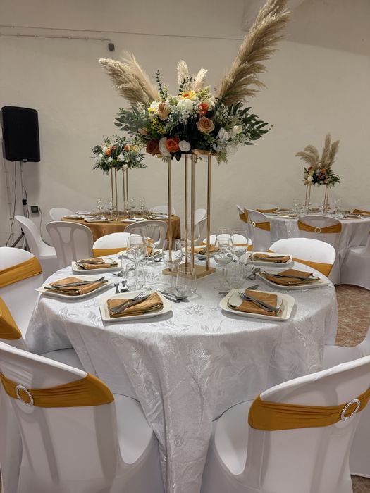 Organizavao de Eventos