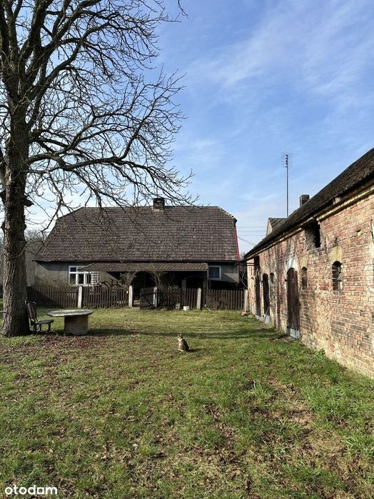 Domek przy lesie, z zabudowaniami, blisko jeziora