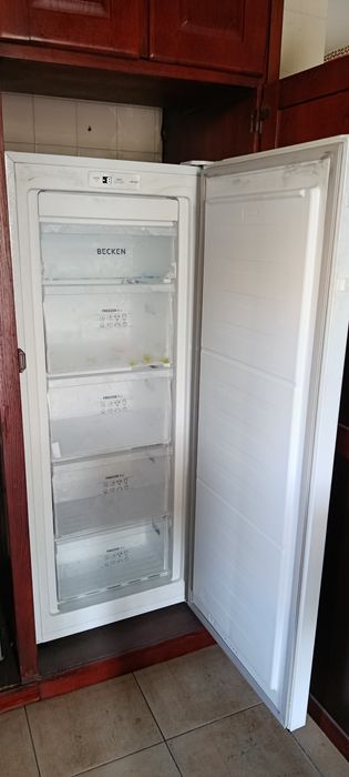 Arca congeladora