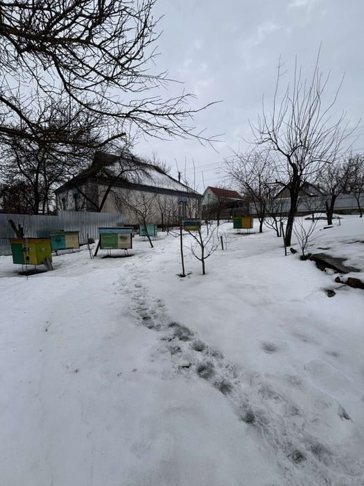 Затишний будинок 78 м² з великою ділянкою 30 соток у с. Безугляки