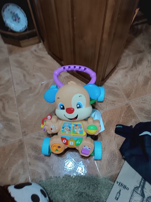 Guiador dos primeiros passos