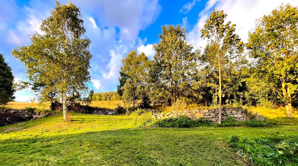 Usługi koparką - LANDSCAPING Międzylesie, Bystrzyca Kłodzka, Kłodzko