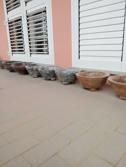 Vasos Novos  para Bonsai, Suculentas , Ananás e outras Plantas