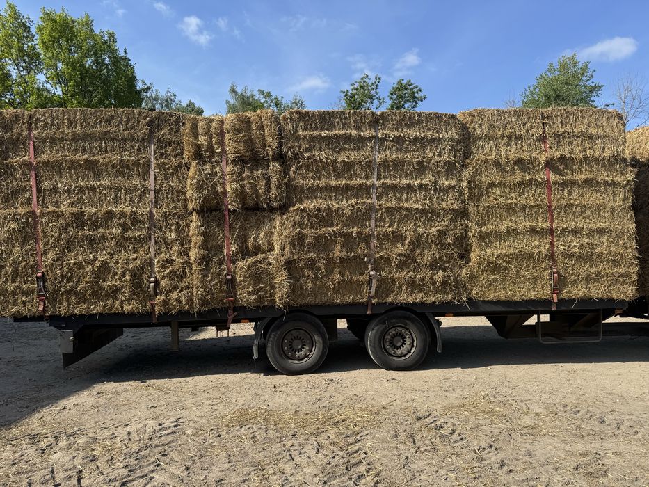 Słoma 2026 sucha z wiaty duża kostka transport