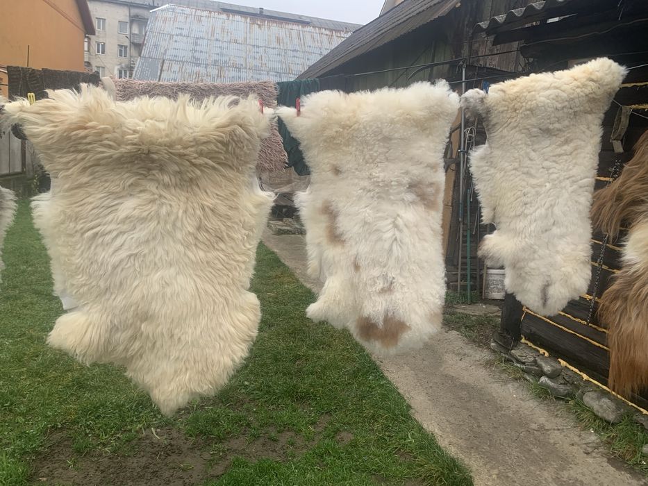 На бубен шкури самі робим