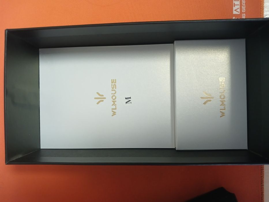 Wlmouse beast x pro