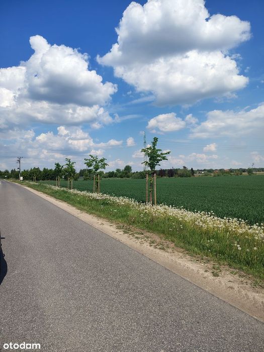 Działka, Stary Dwór