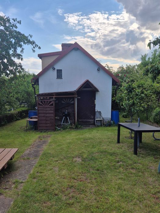 sprzedam działkę ROD "Nowe Życie" ul. Hoża - Widok 2