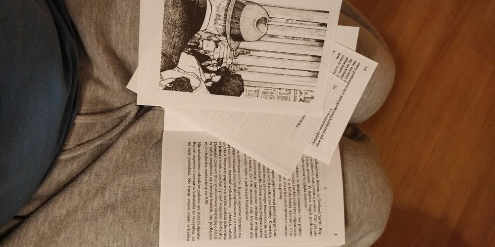 "Pajęcza sieć" interaktywna książka, w której czytelnik decyduje