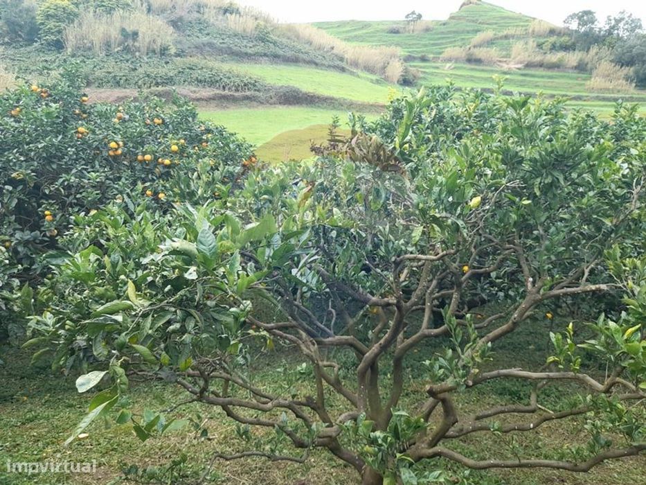 Terreno  para venda