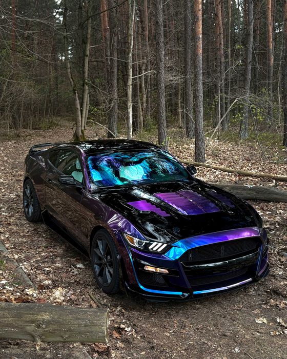 Ford Mustang I Wynajem I Manual I 400KM