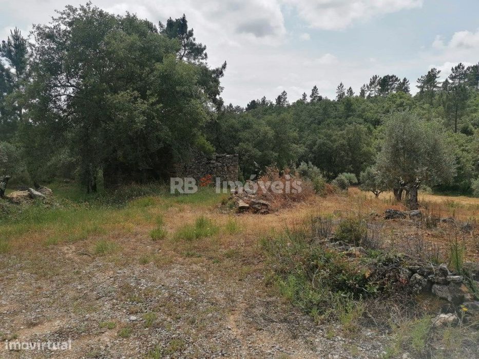Dois terrenos rústicos com 4.074 m² - Carvalhal da Póvoa, Tomar