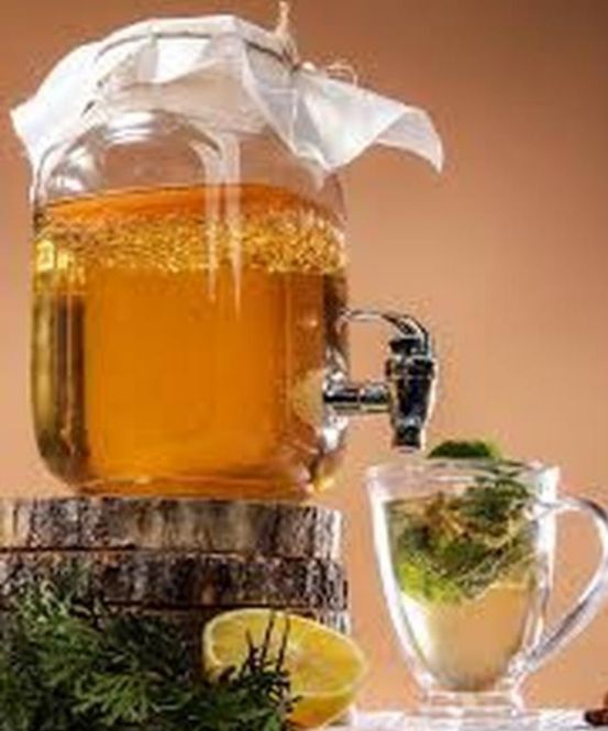 Чайний гриб камбуча на 3 л