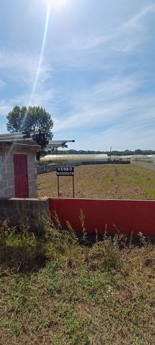 Terreno agrícola x2
Se for vendido em con