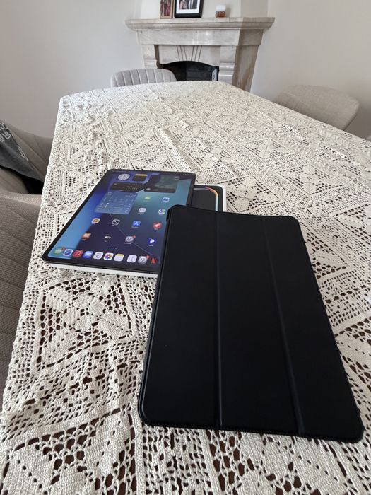 iPad Pro 13 M5 WIFI + CELLULAR (17 ciclos)