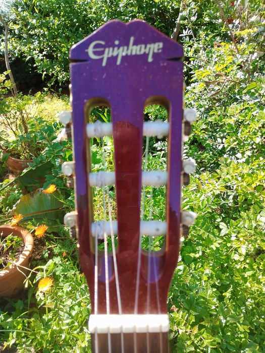 EPIPHONE Chet Atkins Nylon-String Solid Body Guitar / Guitarra