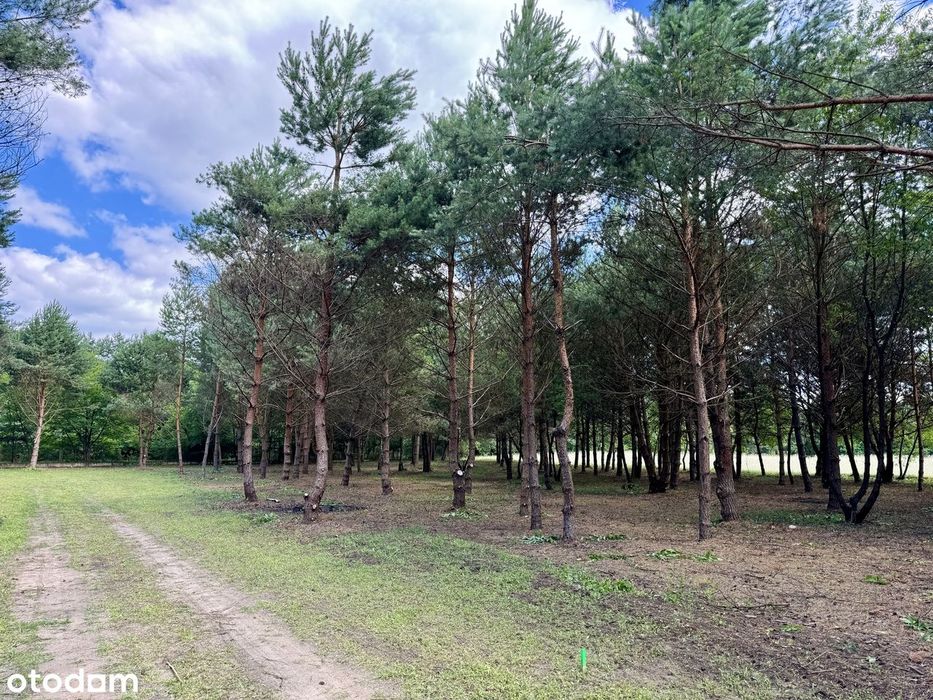 Działki budowlane, wodociąg, prąd, 1,5 km j. Lucieńskie - Widok 4