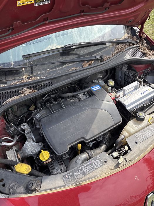 Clio III 3 TENNJ zderzak lampa błotnik drzwi lusterko szyba pas