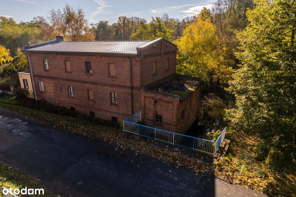 Dom po dawnym młynie nad Widawą