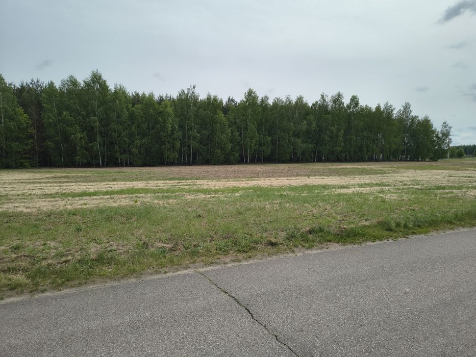 Działka budowlana Kazimierzów - Widok 5