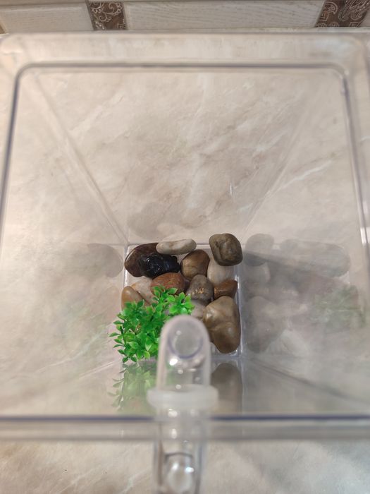 Продам акваріум.