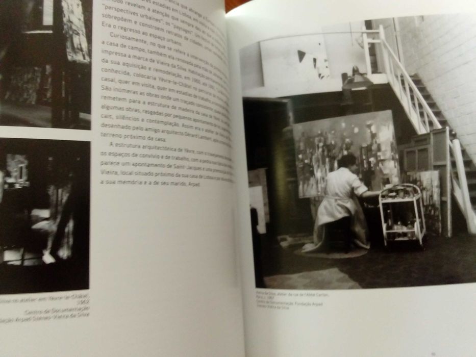 Património e Biografia - Vieira da Silva e o Jardim das Amoreiras