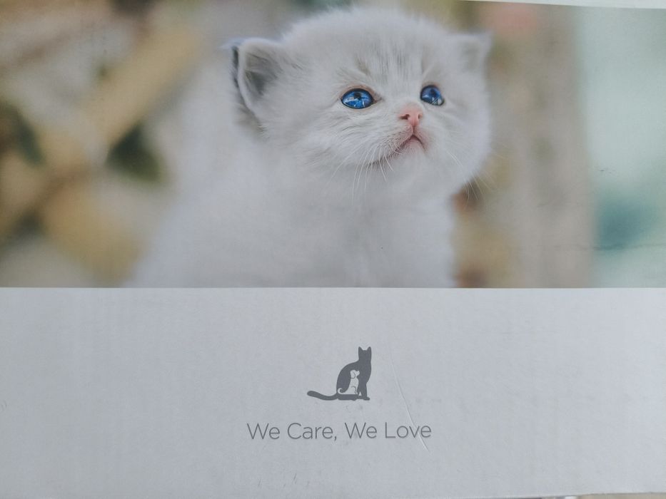 Fontanna/ poidło dla kota