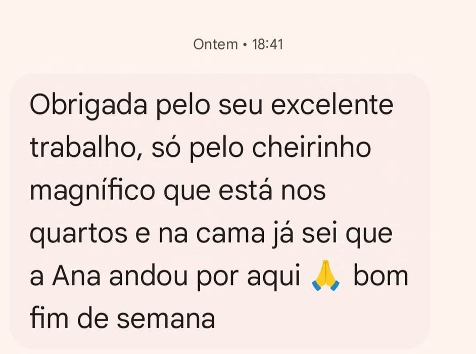 Limpezas profissionais